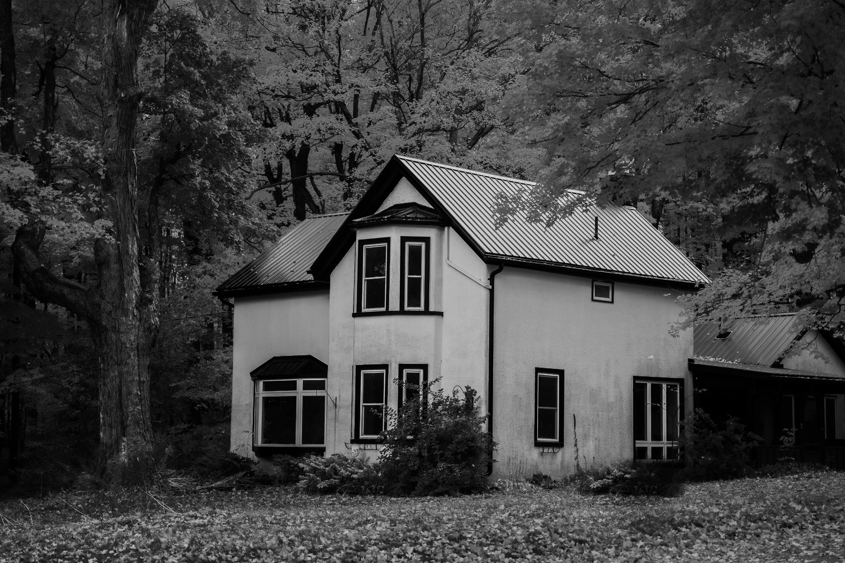 Fall Home Maintenance Tips to Keep You Cozy (and Save You Money)